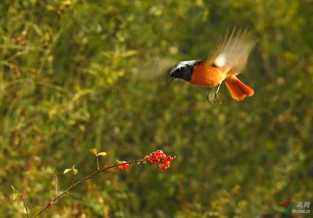 DSCN4938 ����.jpg