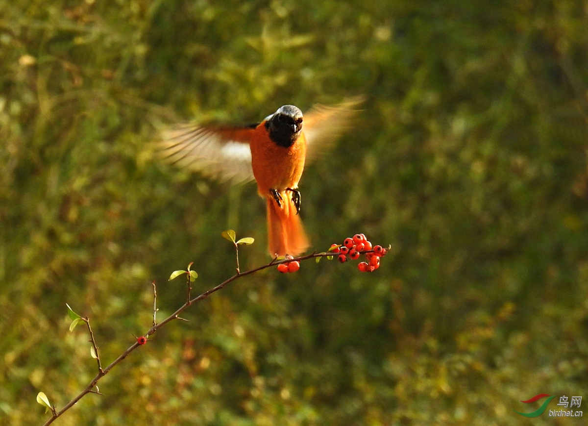 DSCN4929 ����.jpg