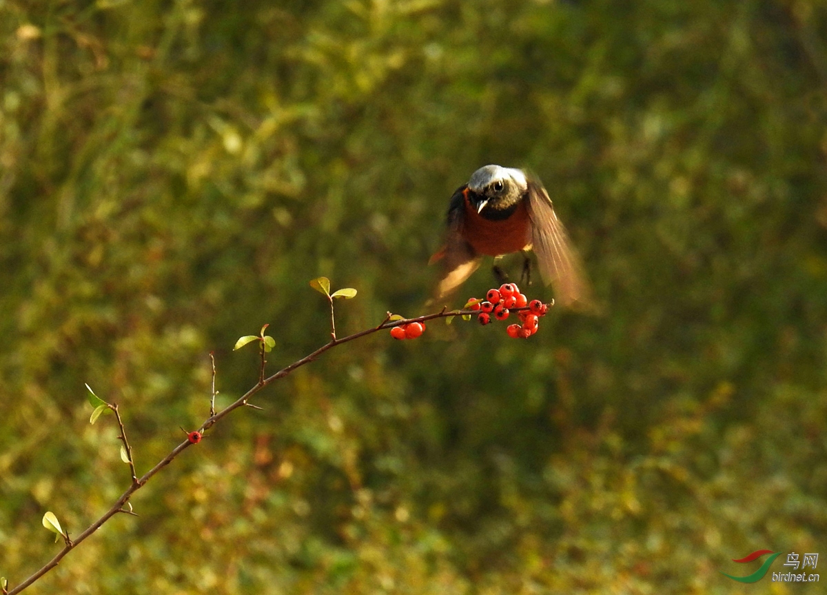 DSCN4931 ����.jpg