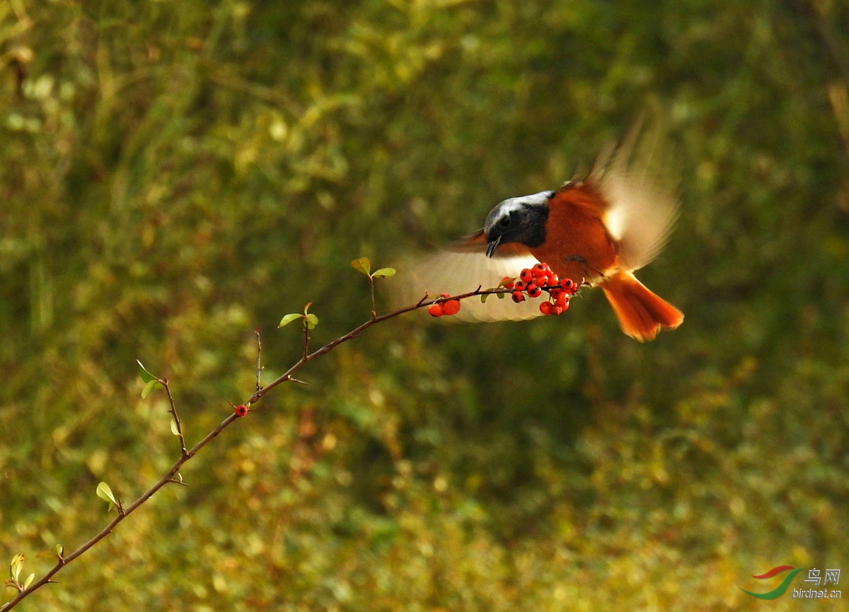 DSCN4932 ����.jpg