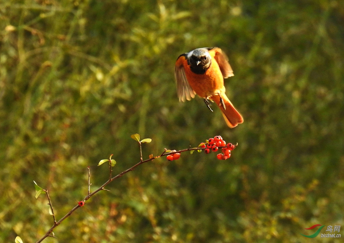 DSCN4936 ����.jpg