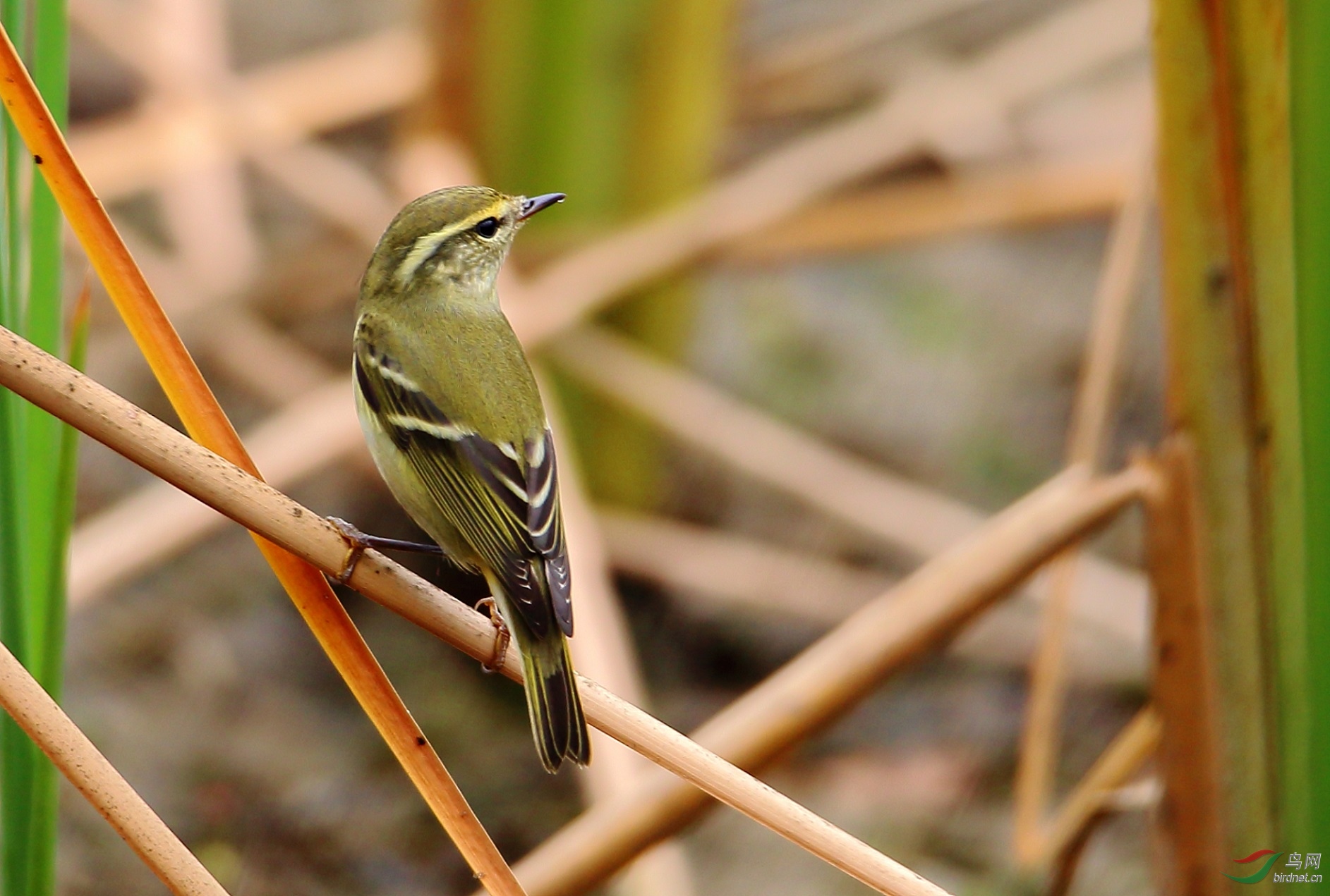 大连海事大学院内拍摄