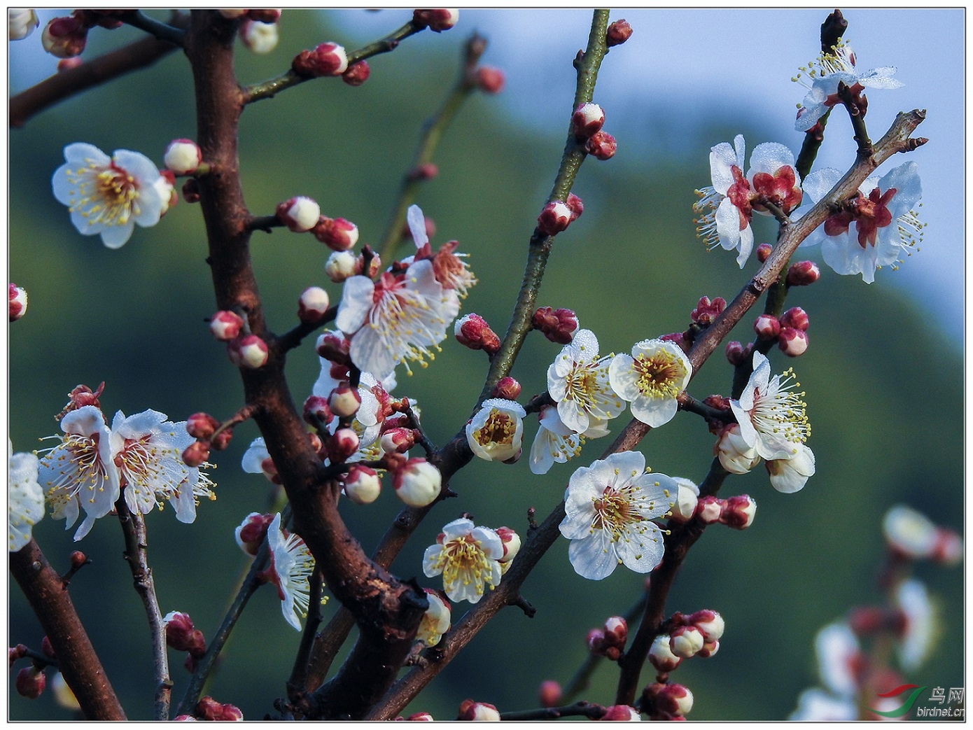 �ܿ���¶��Ӵ