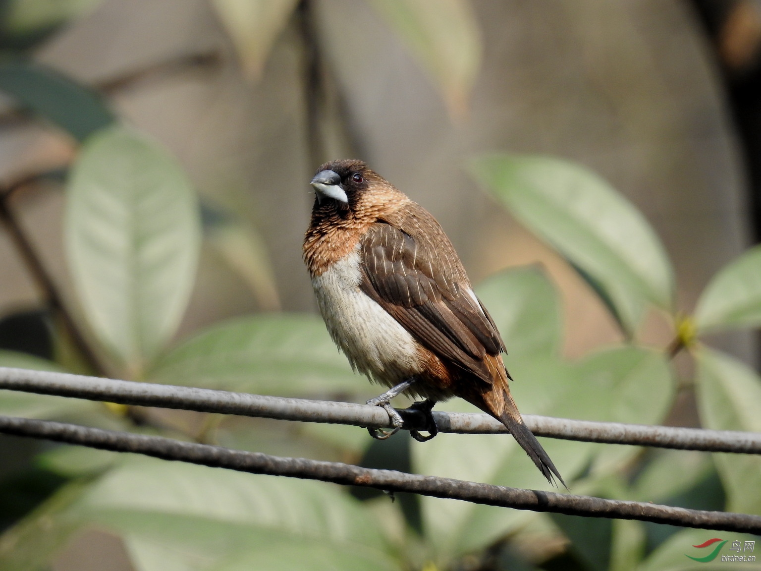 DSCN7090.JPG