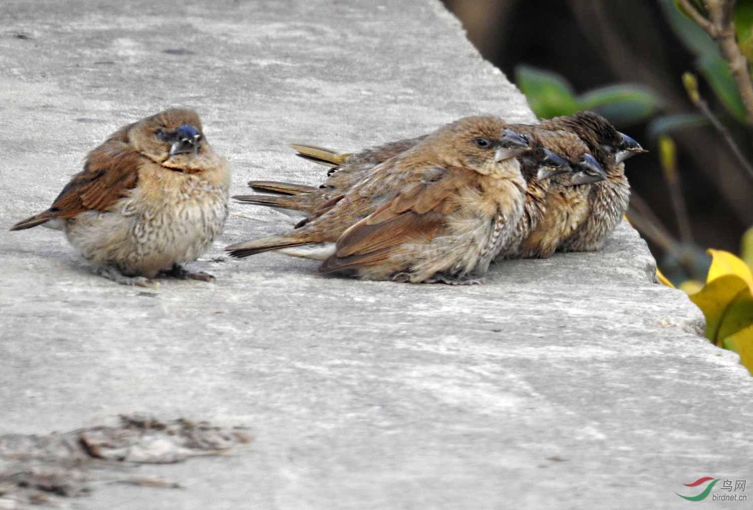 DSCN4061 ����.jpg