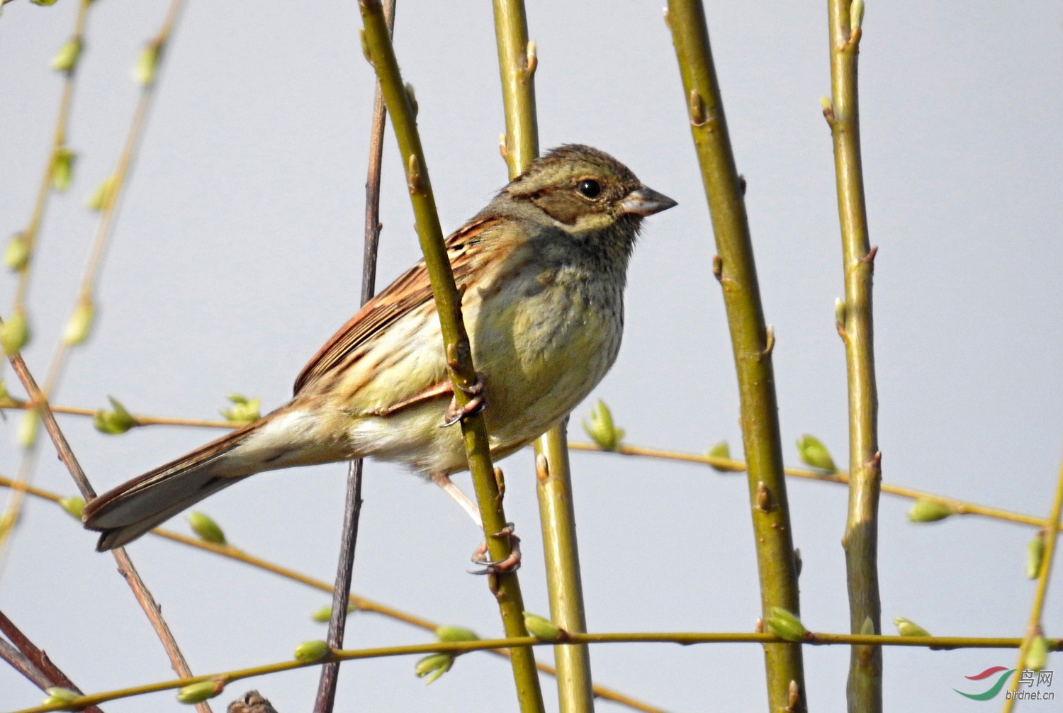 DSCN3982 ����.jpg