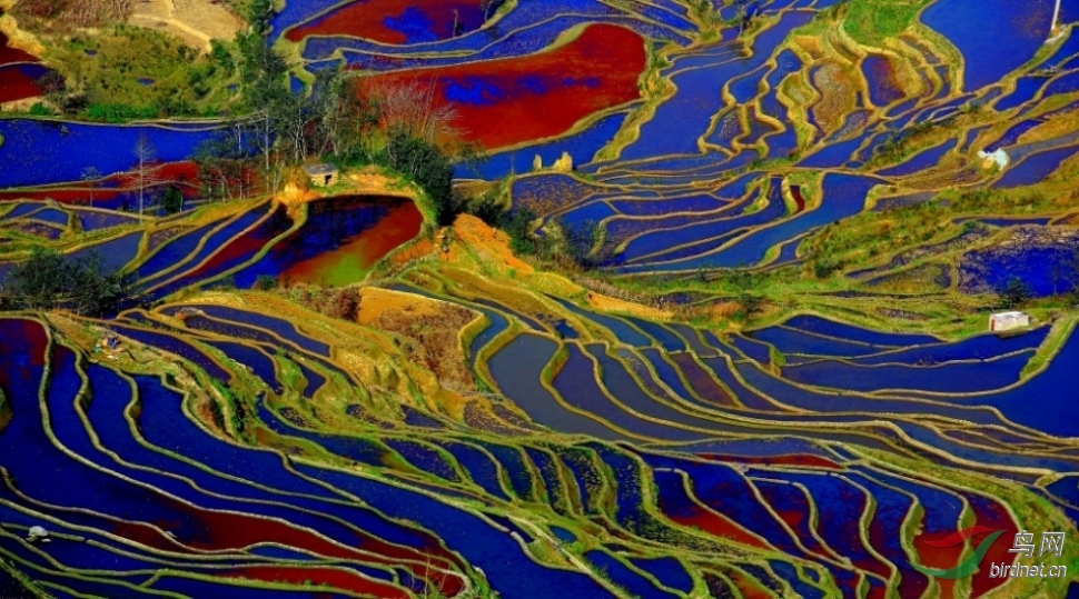 彩色梯田