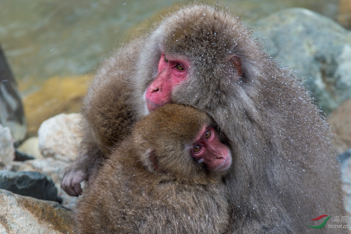 妈妈温暖的怀抱