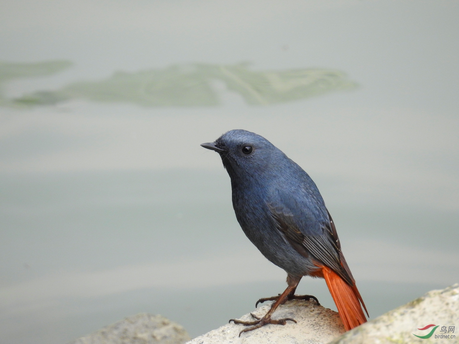 DSCN6526.JPG