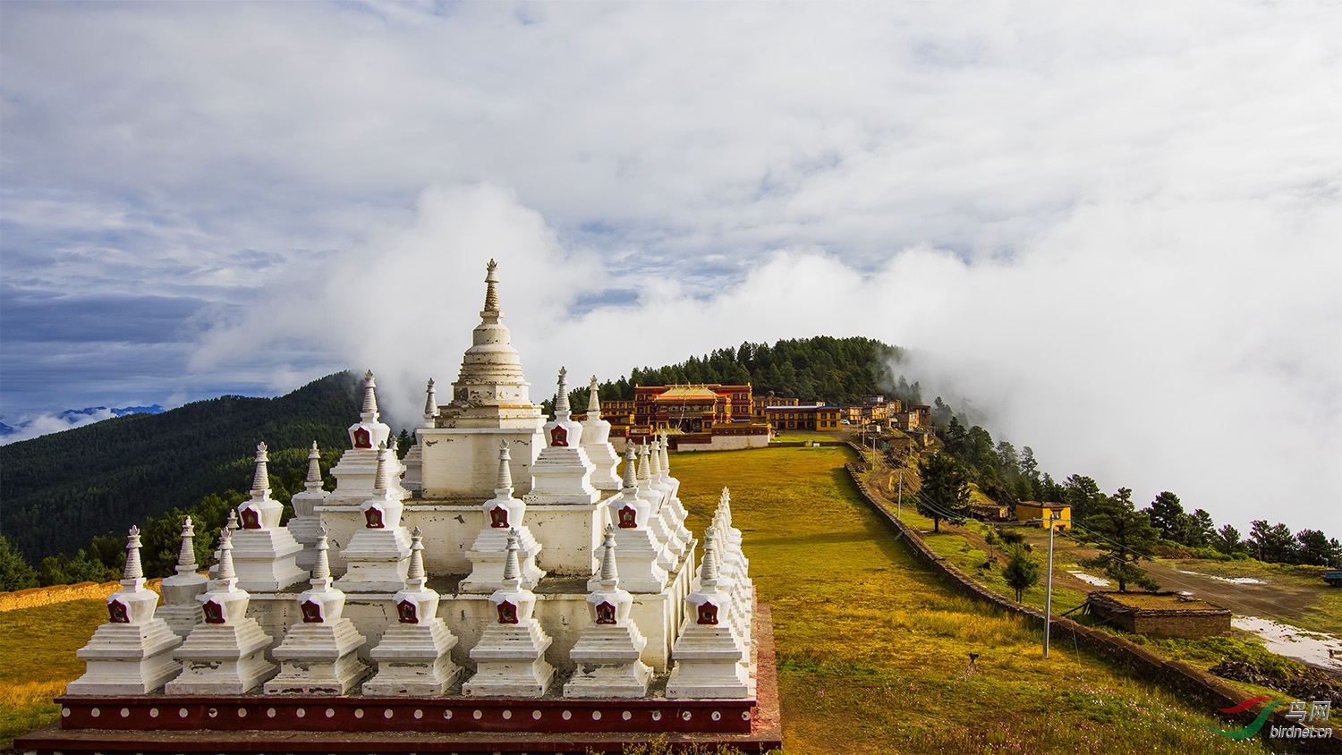 4300米海拔拍鸟圣地扎呷寺