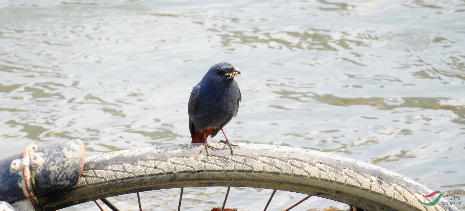 DSCN7390.JPG