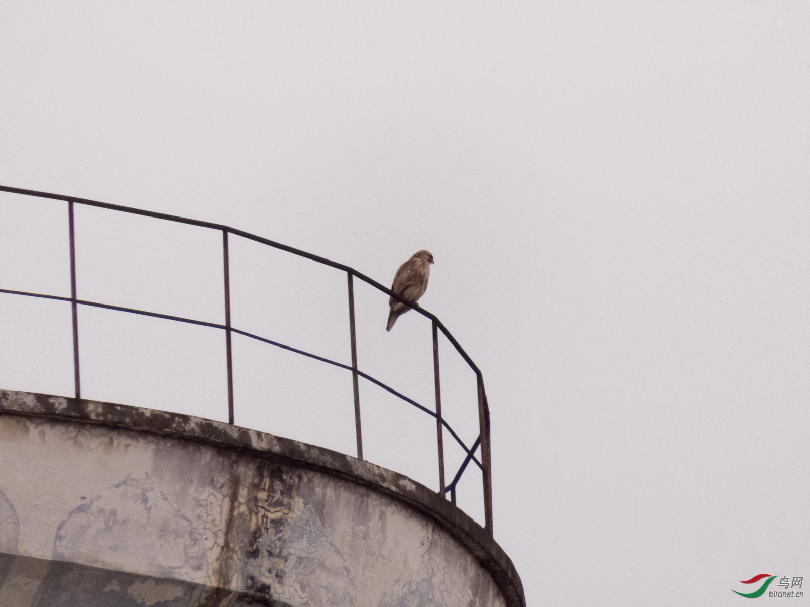 ����Ư����ʦ2��10���ĵ��\