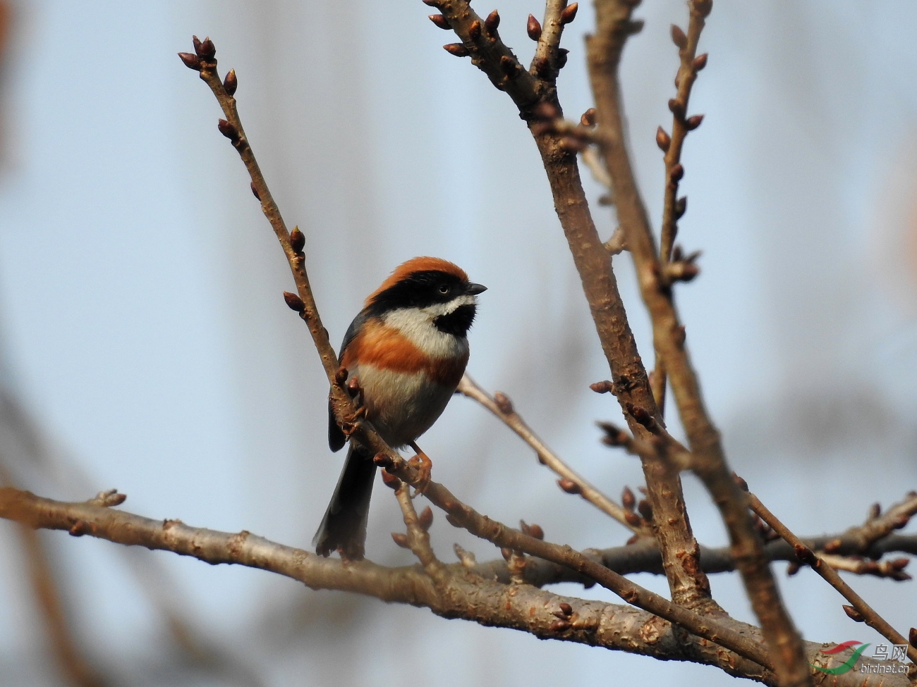 DSCN5380.JPG