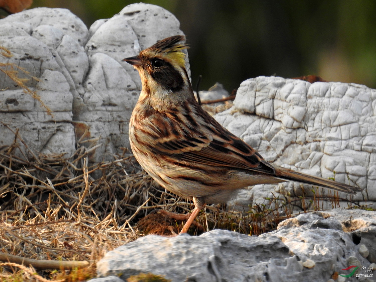 DSCN4864 ����.jpg