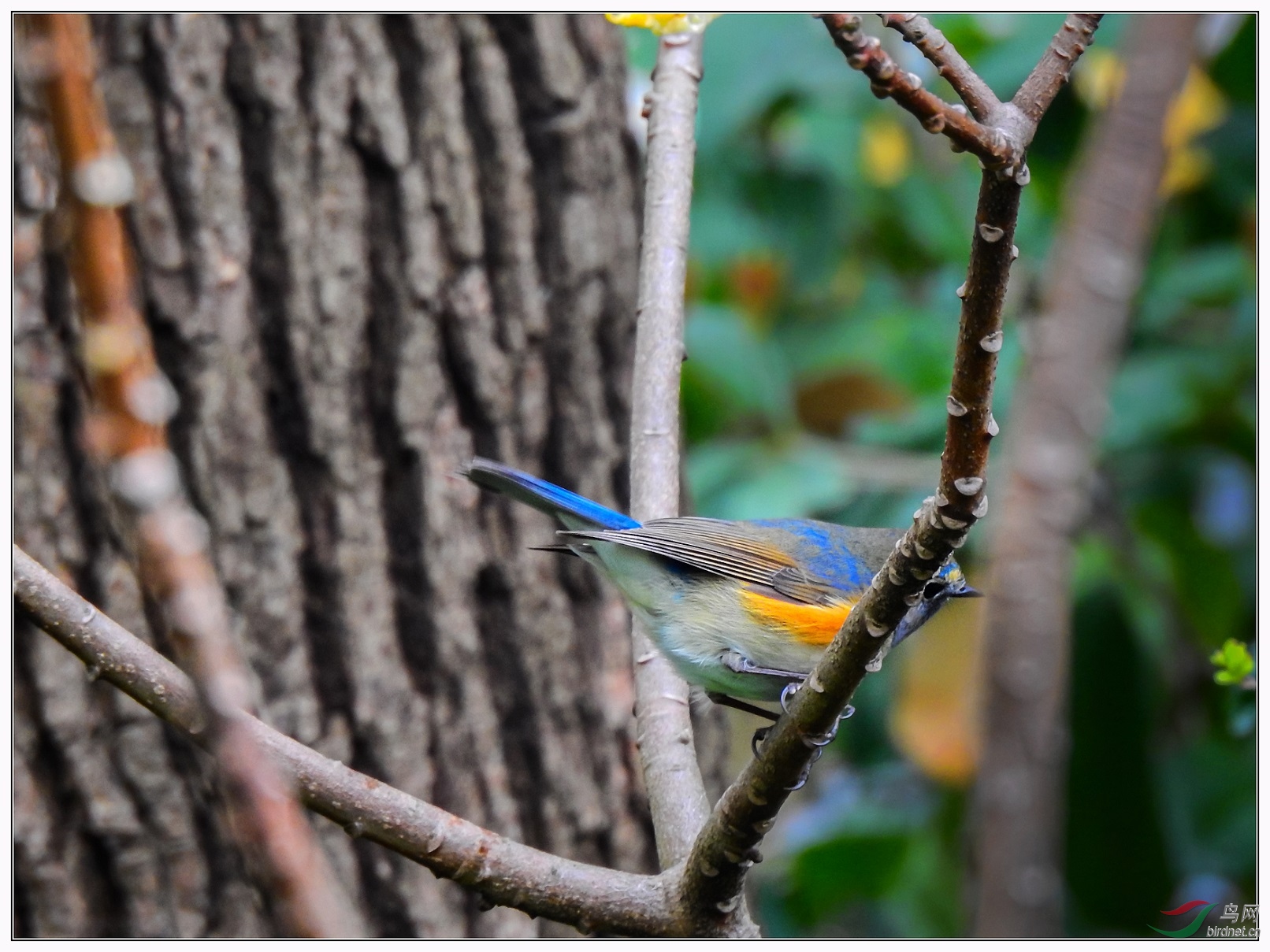 ��в��β�Լ8��