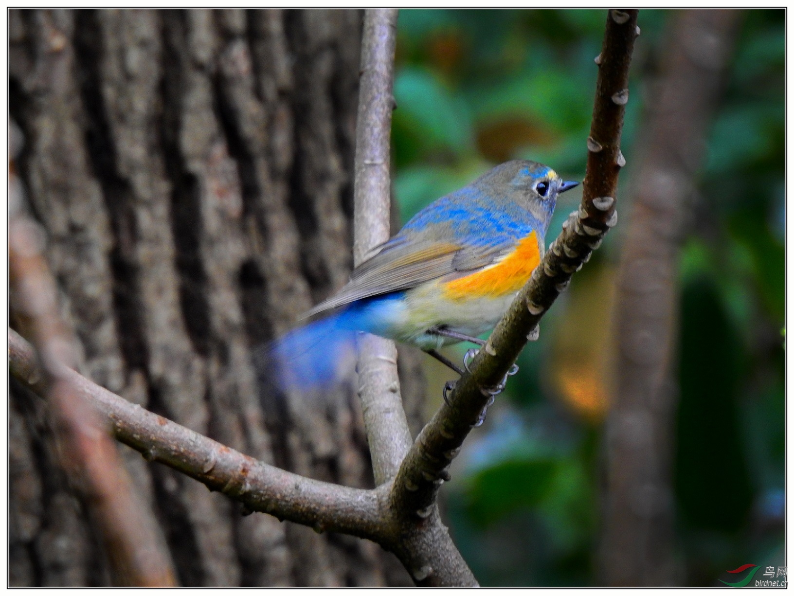 ��в��β�Լ8��