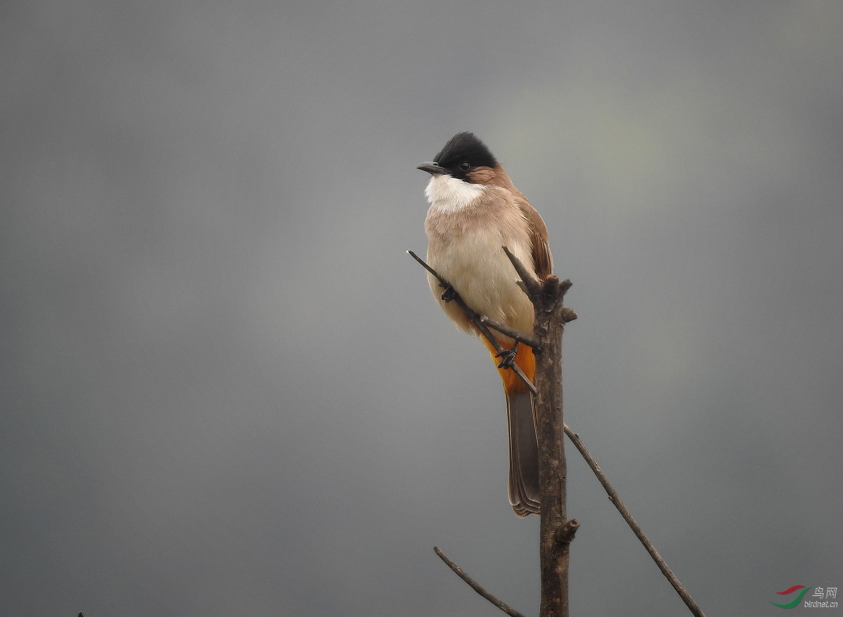 �׺�������10��