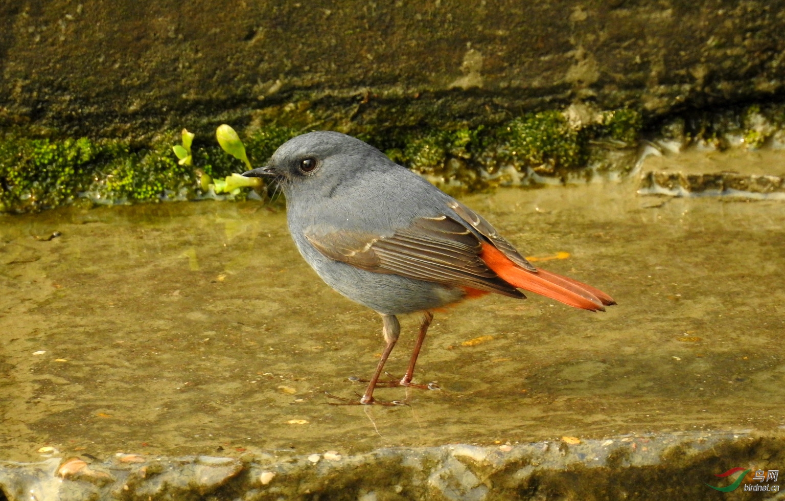 DSCN4720-1.JPG