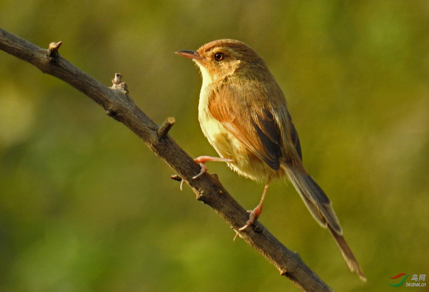 DSCN4722 ����.jpg