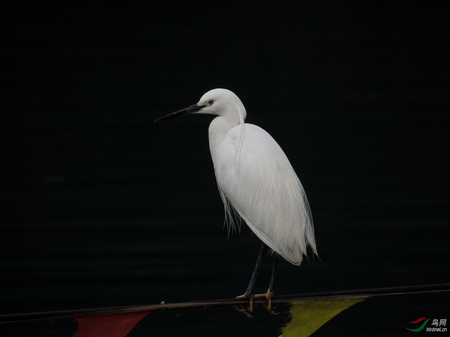 DSCN6857.JPG