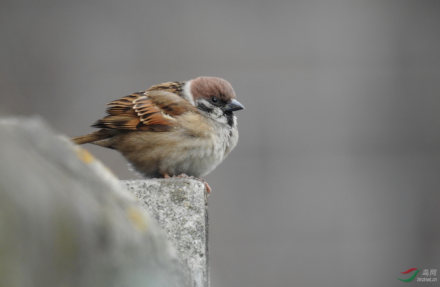 DSCN6351.JPG