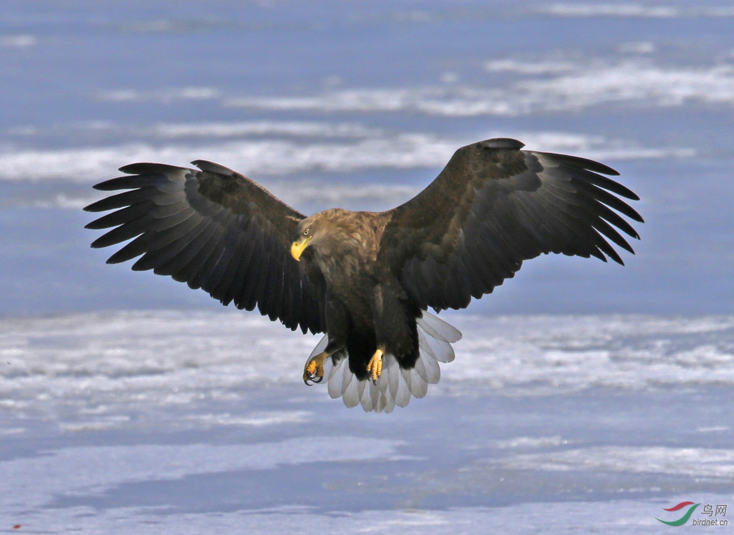 虎视眈眈