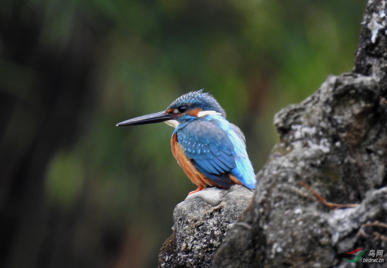 25�׿���ƫ��