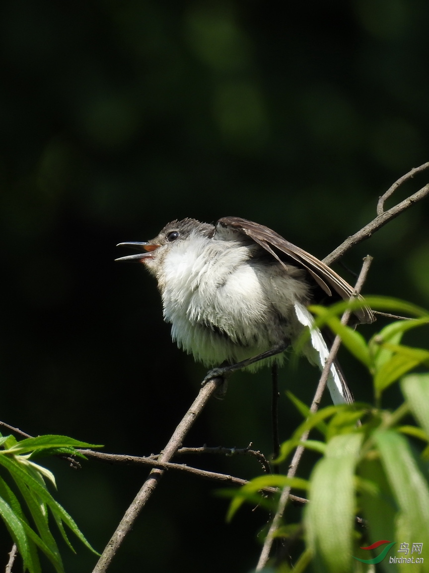 DSCN9212.JPG