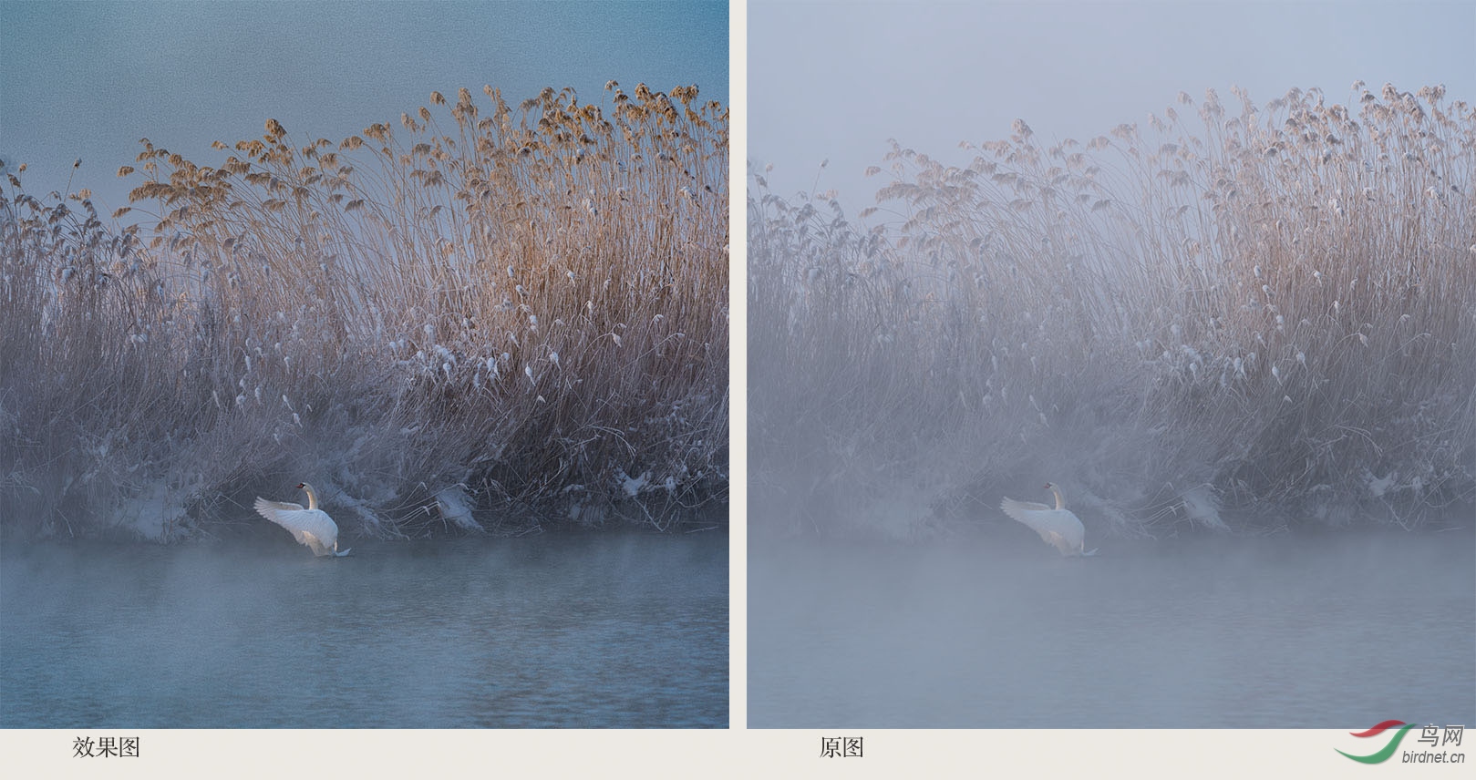 00 Ч��ͼ��ԭͼ�Ա�.jpg