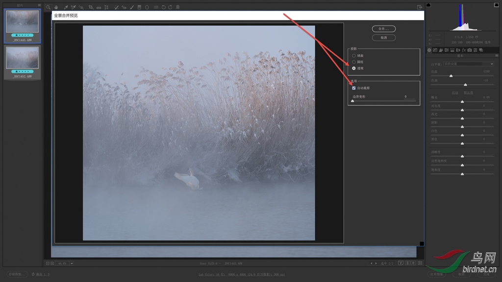 03 ��Ƭ 2���ڡ�ȫ���ϲ�Ԥ�����Ի����е�ѡ��͸�ӡ�ͶӰģʽ����ѡ���Զ��ü������㡾.jpg