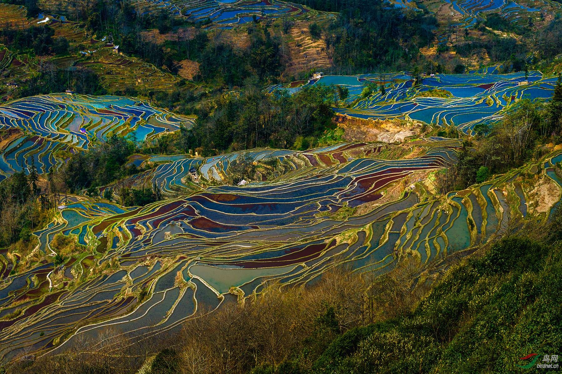 [综合] 七彩调色板 -- 坝达梯田【祝贺荣登首页】