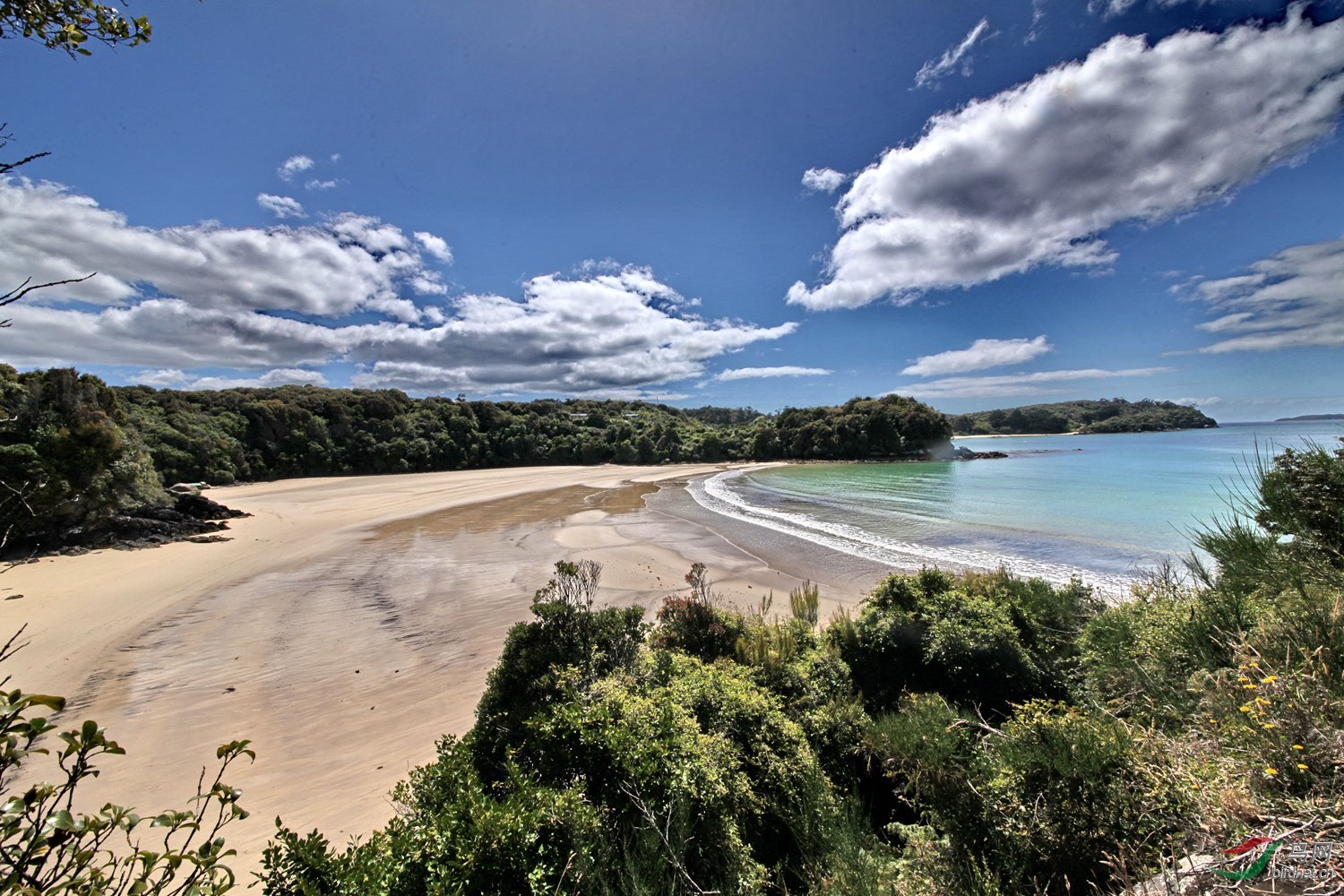 新西兰斯图尔特岛巴特菲尔德海滩