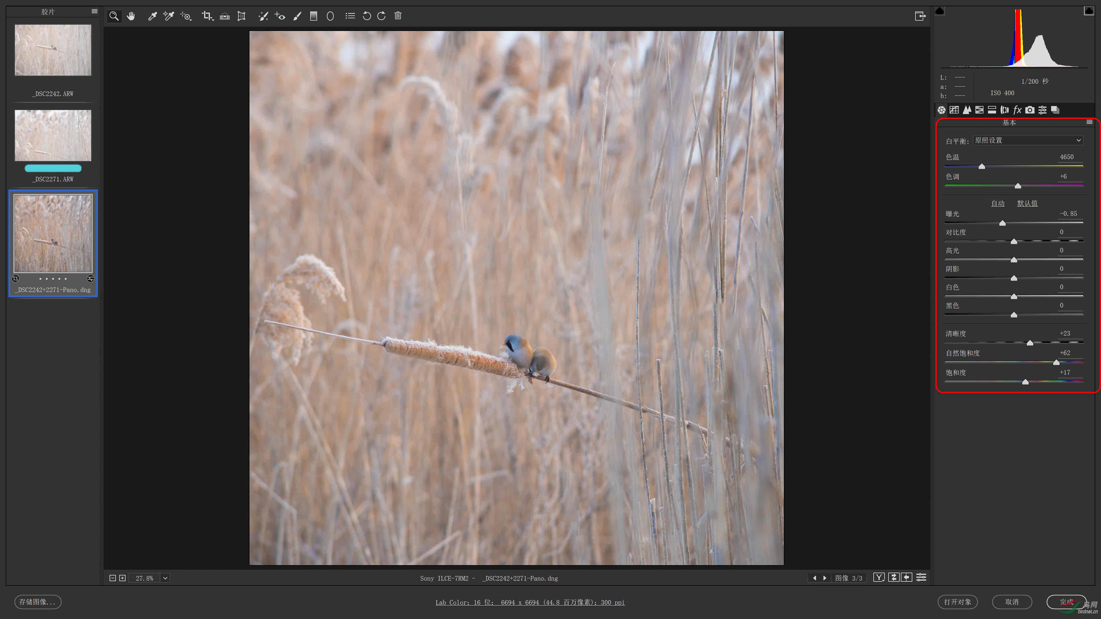 01 ����������.jpg