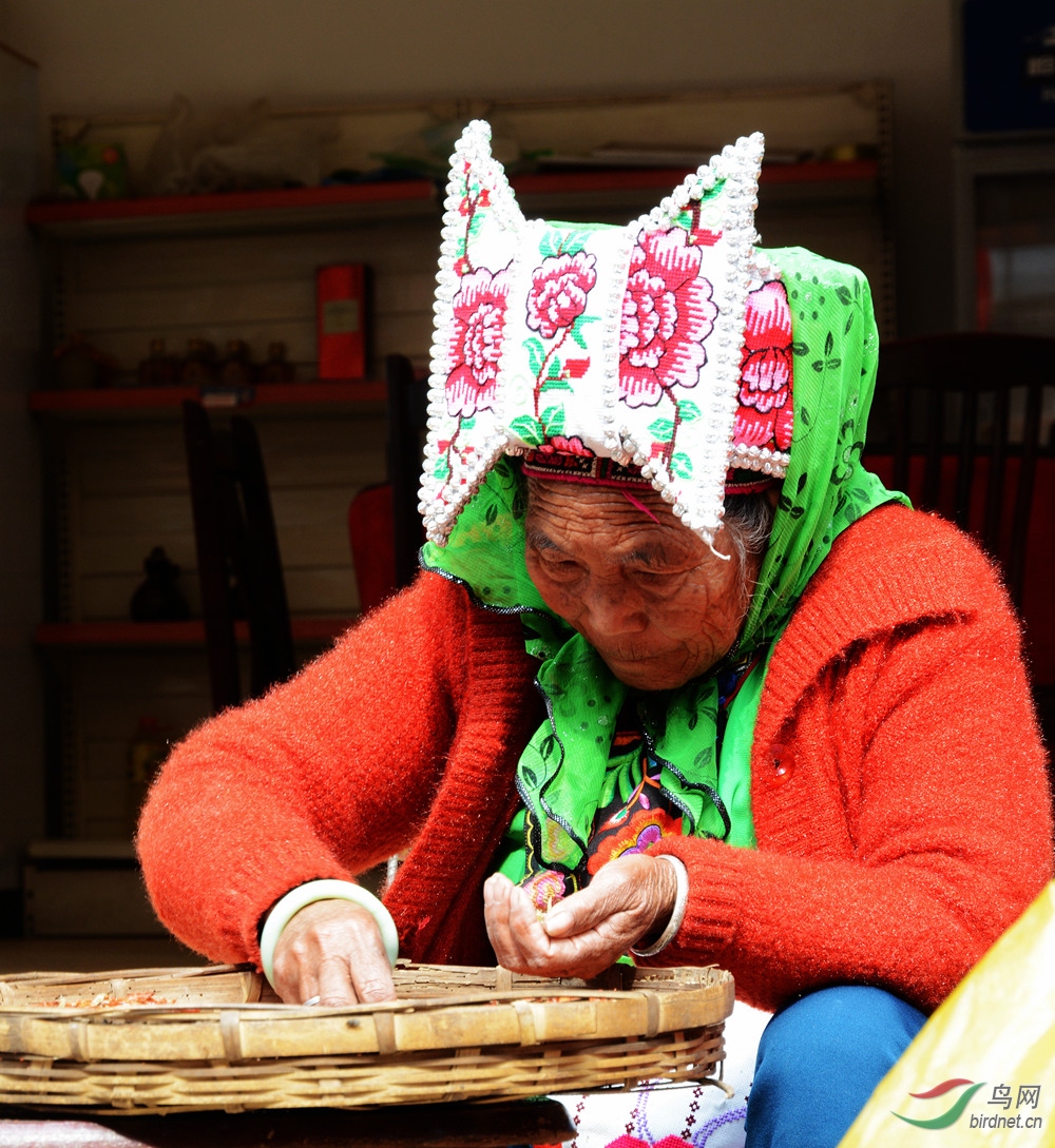 彝族撒尼 妇女
