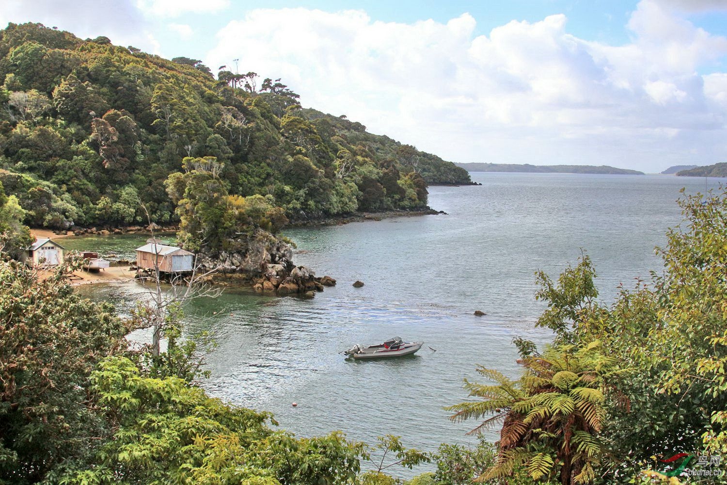 新西兰斯图尔特岛金海湾(golden bay)风光