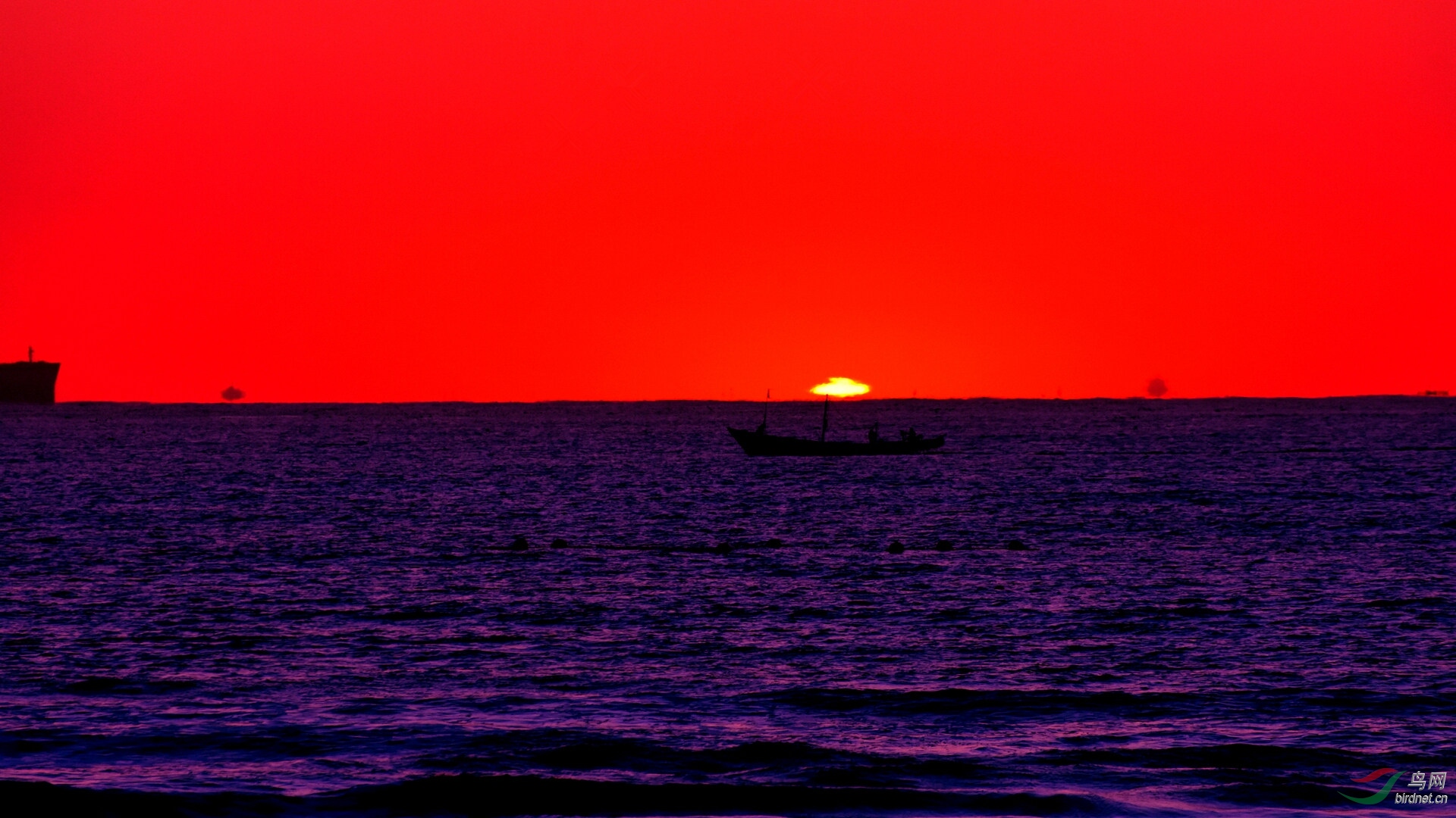 日出江花红胜火