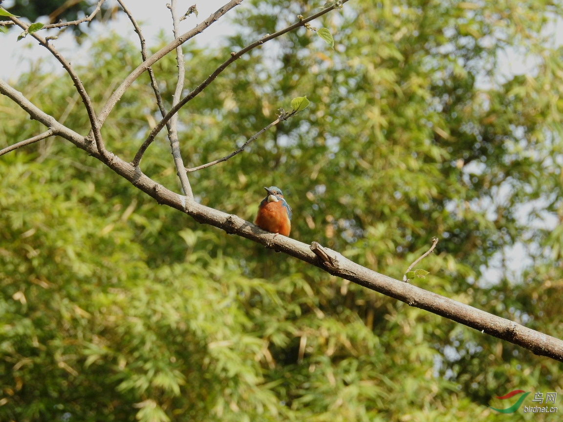 DSCN7557.JPG