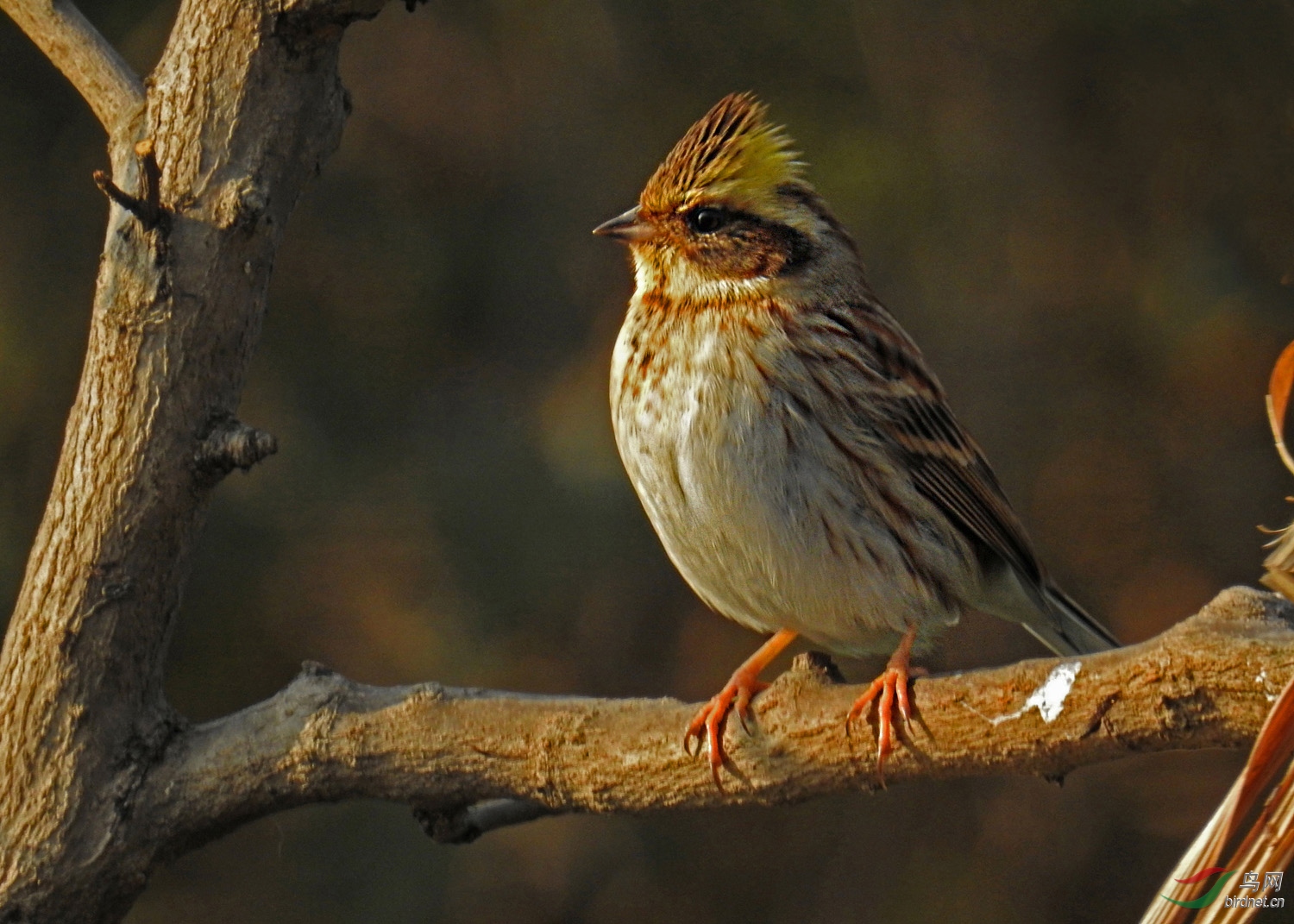 DSCN4679 ����.jpg