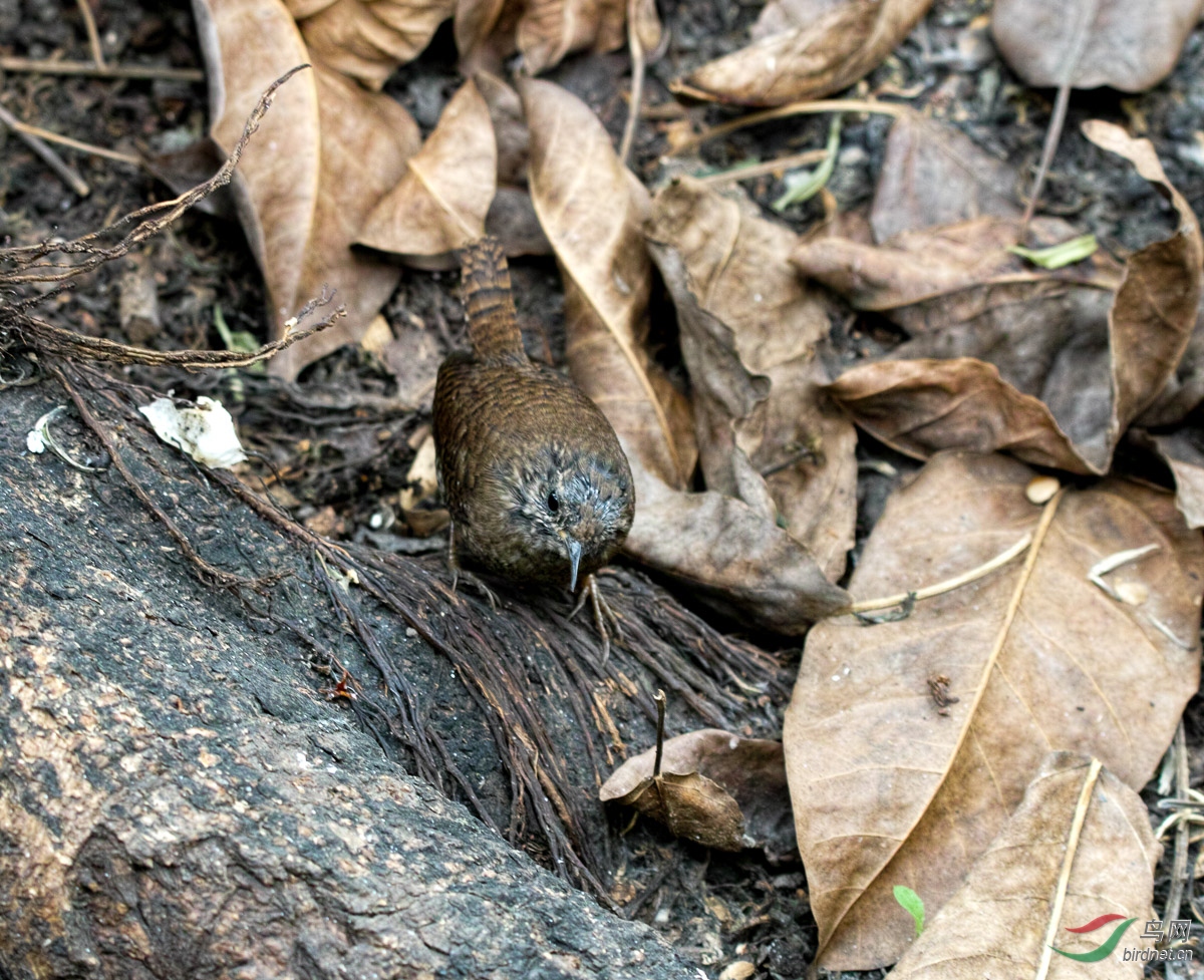 SDIM1314.jpg
