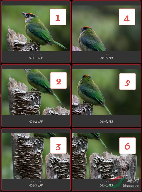 004-1 ����ʽ��Ƭ������˳��.jpg