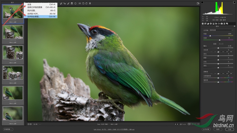 004-2 ��BR��ѡ�����ϲ���6����Ƭ��˫������CR�������Ƭ�������˵������ε����ȫѡ��.jpg