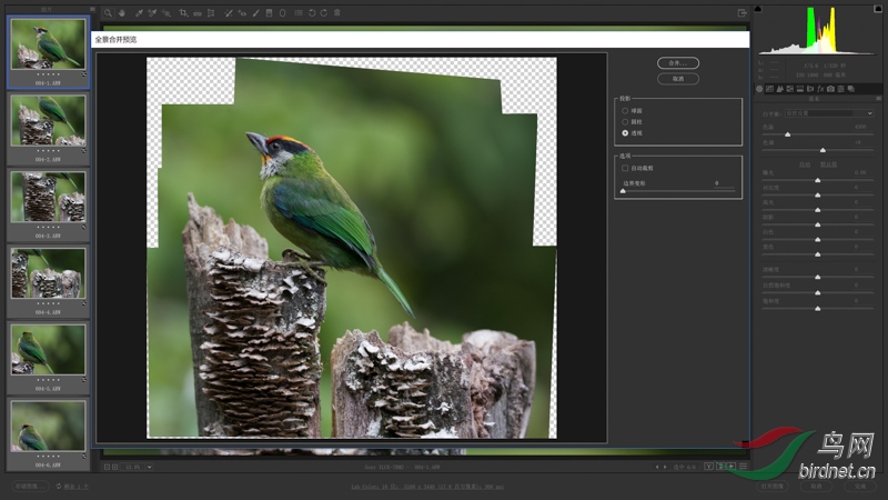 004-4 �����ںϲ�Ԥ���Ի����У�ͼ������ʱ�����ش�λ�����Ǽ�ʹ���Ҳû��ϵ����.jpg