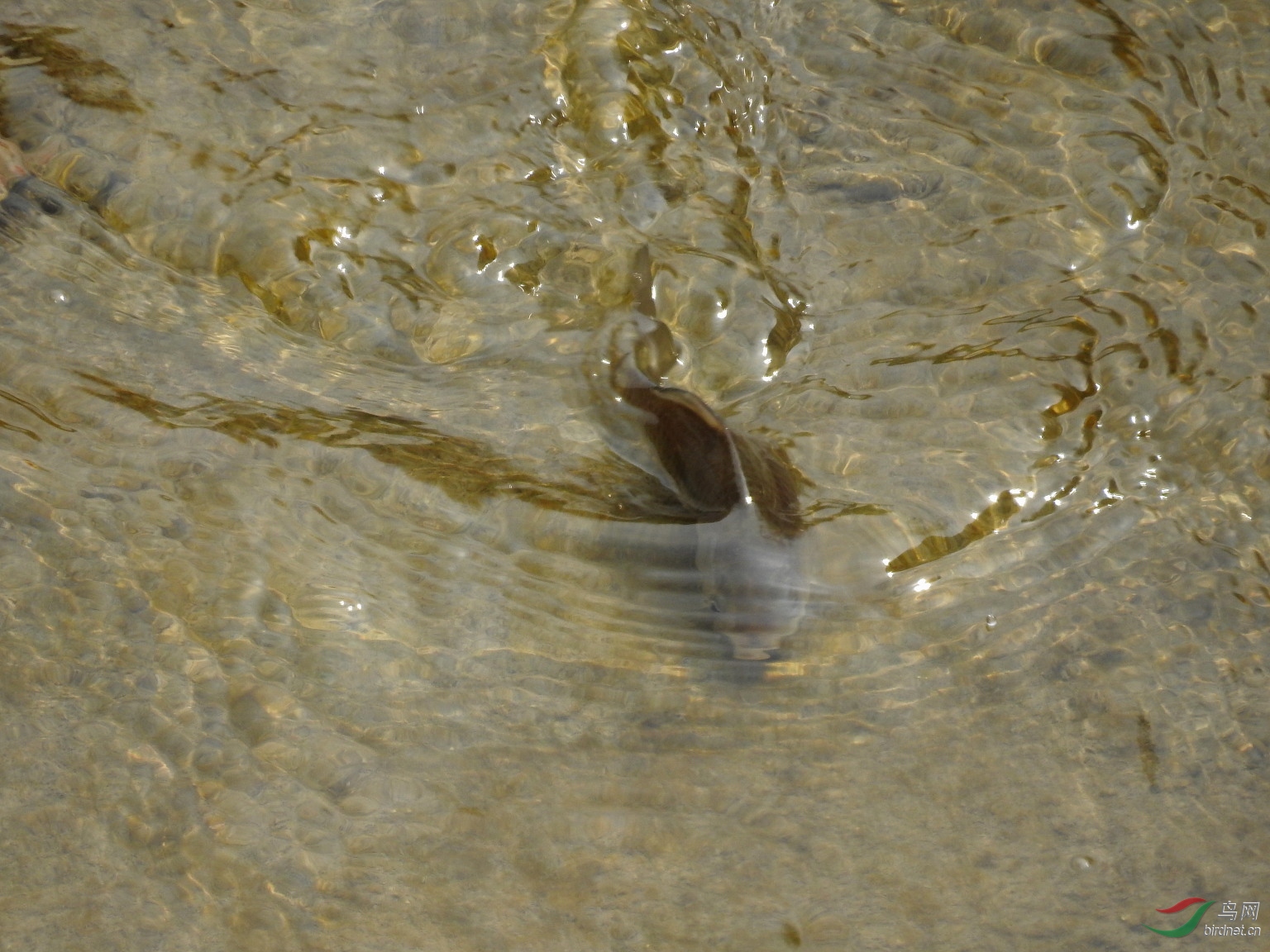 DSCN7593.JPG