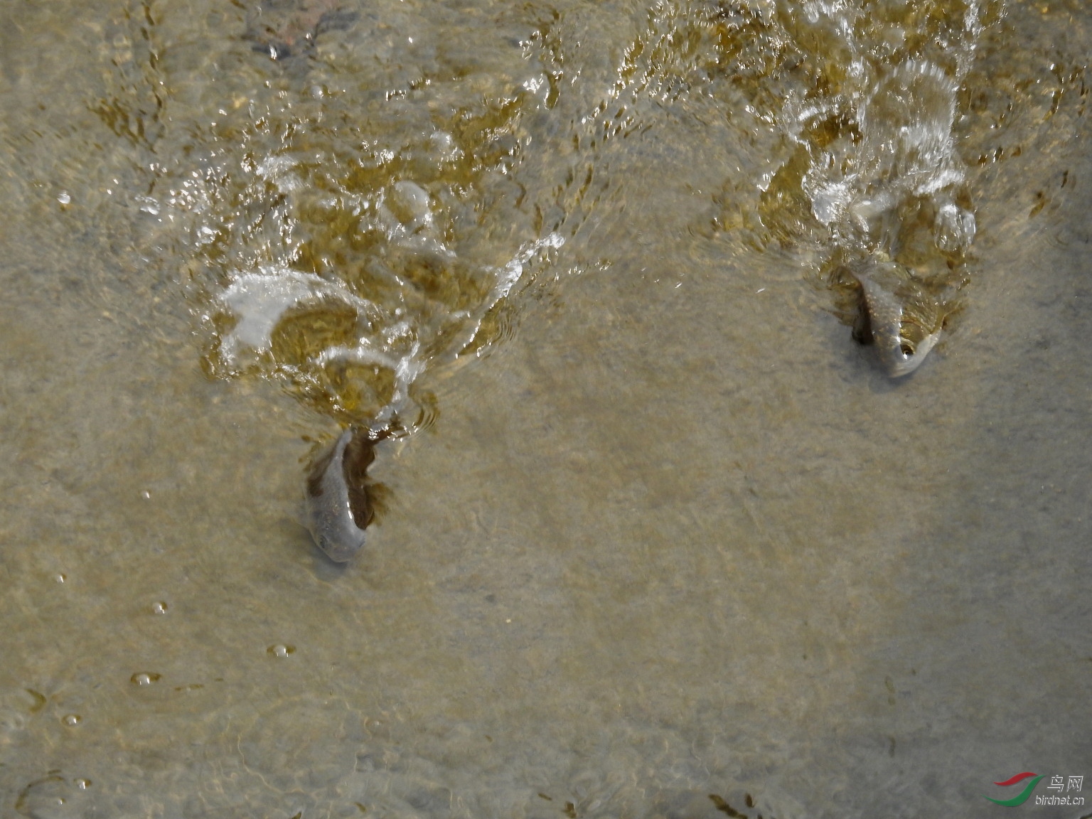 DSCN7594.JPG