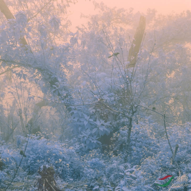 ����һ��������ͼ2