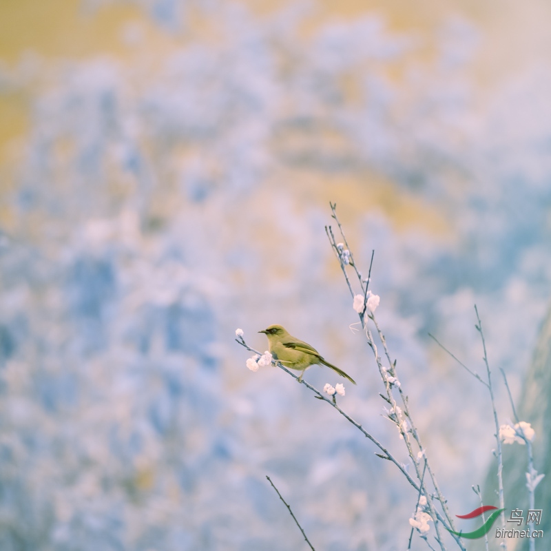 ����һ��������ͼ3