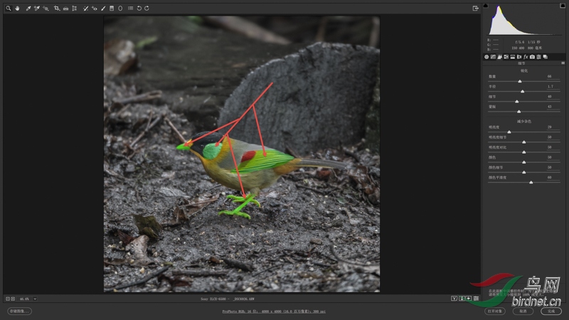 02-2 ��ɫ��ע��������˽�һ����ǿ����.jpg