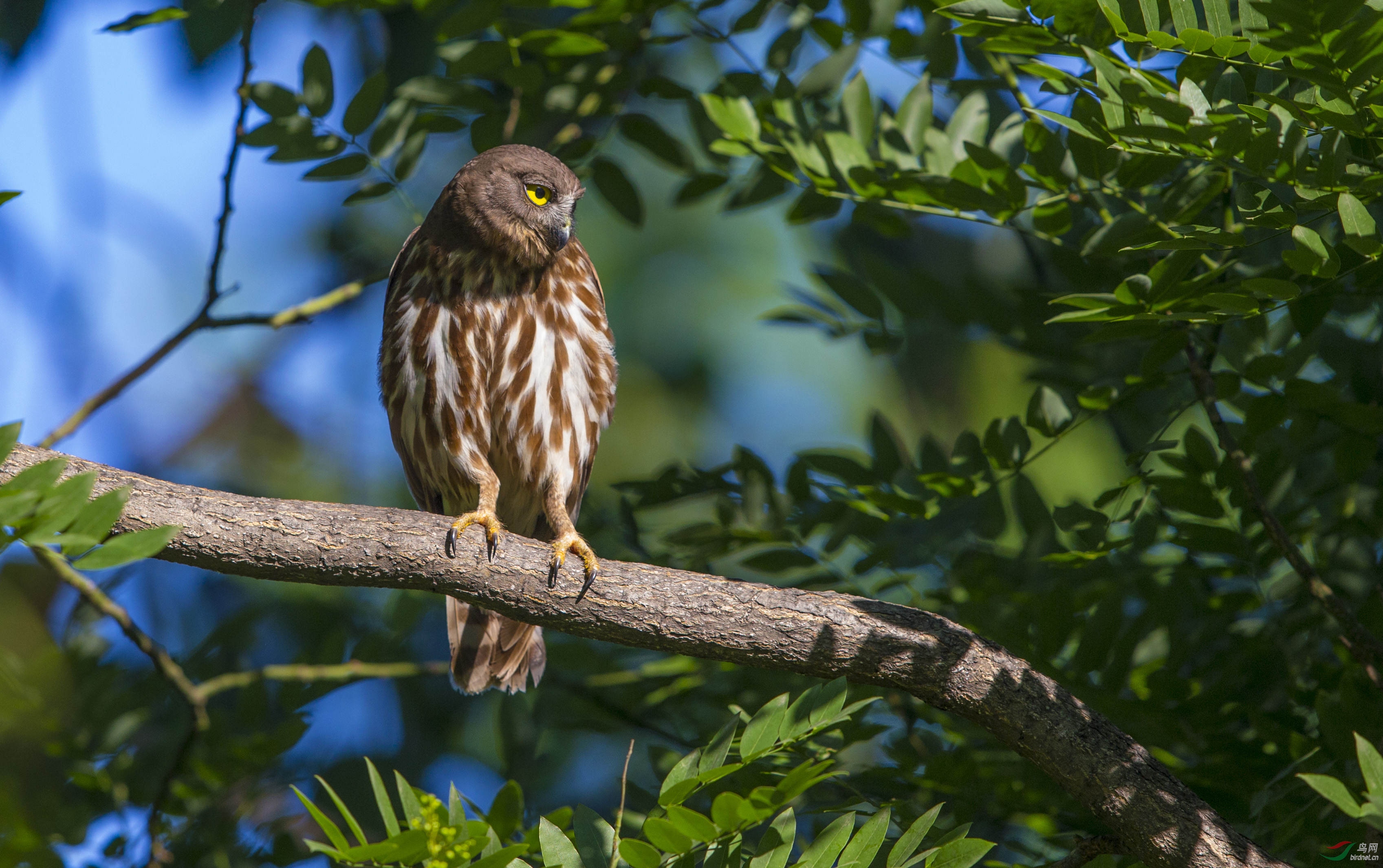 得知美中不足您就向上了 .