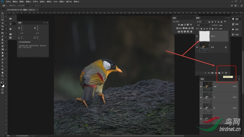 01 ��PS�У������������ͼ�㡿����ͼ��1 s.jpg