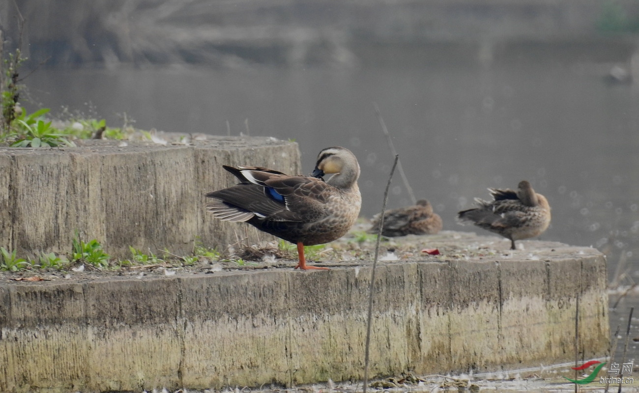 DSCN7648.JPG